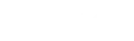 Publion wordmark
